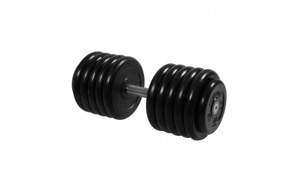 Гантель Профи с вращающейся ручкой, 56 кг MB Barbell MB-FdbM-B56 600_380